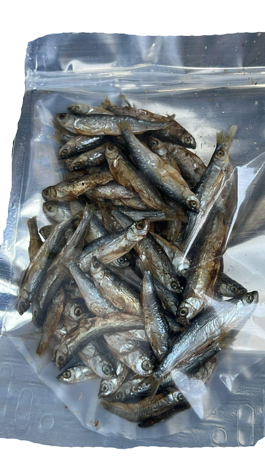 Dry Prawn 100g