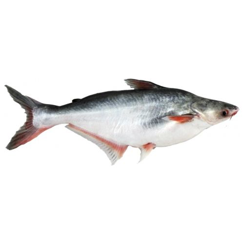 Basa (Pangas) 1kg