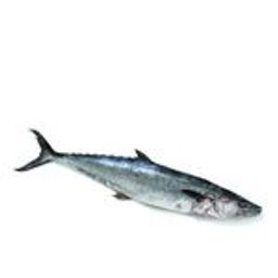 anjal seer fish vanjaram slices 500g