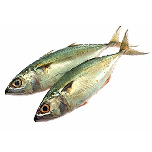 Mackeral/Bangda 1kg